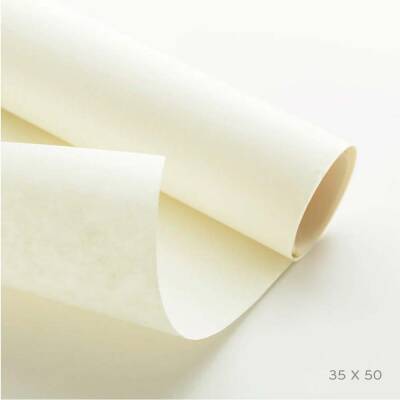 Economical Schoeller Technical Drawing Paper 240 Gr 35x50