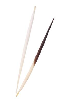 Karin Kirpi Oku Büyük