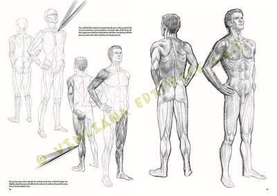 Leonardo Collection Desen Kitabı Nudes No: 10 Çıplak Çizim N: 10 - 1