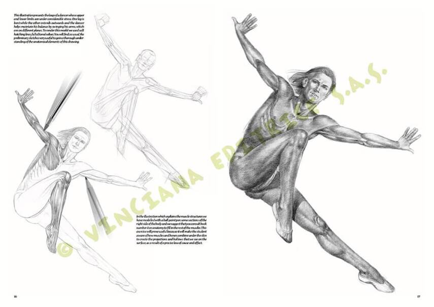 Leonardo Collection Desen Kitabı Nudes No: 10 Çıplak Çizim N: 10 - 2