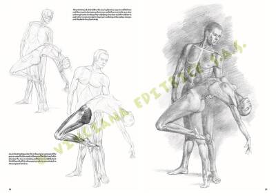 Leonardo Collection Desen Kitabı Nudes No: 10 Çıplak Çizim N: 10 - 3