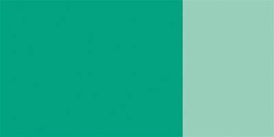 Schmincke Hks Designers' Guaj Boya 20 ml 554 Chromium Oxide Green Brilliant - 4