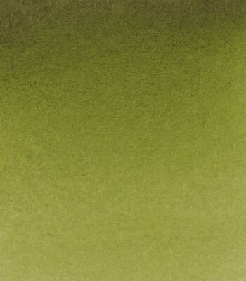 Schmincke Horadam Aquarell Artist Sulu Boya Tam Tablet 525 Olive Green Yellowish Seri 2 - 2